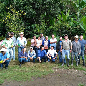 Honduras Marcala HG Organic image 0